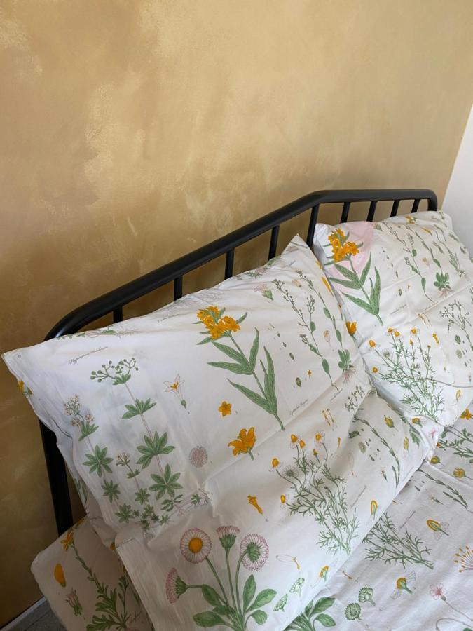 Empero Apartments Bardejov 1 Dış mekan fotoğraf